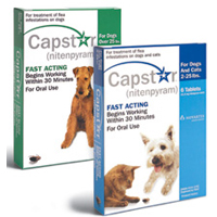 capstar - flea & tick control