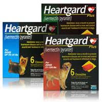 heartgard plus - heartwormers