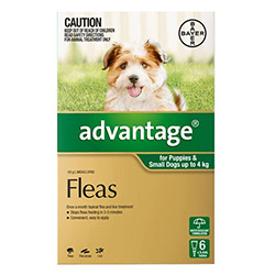 Advantage Small Dogs/ Pups 1-10lbs (green) 4 Doses