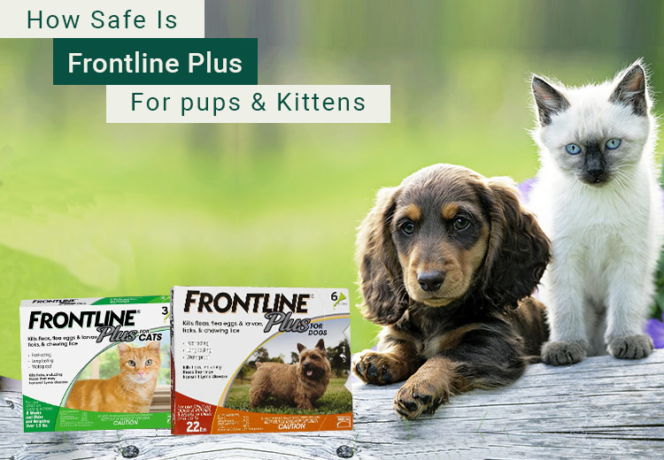 is frontline plus safe for puppies