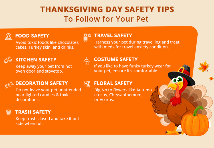 thanksgiving safety slogans
