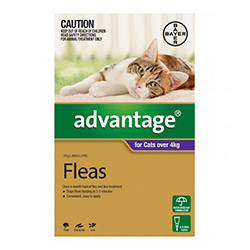 

Advantage Cats Over 10lbs (Purple) 4 Doses