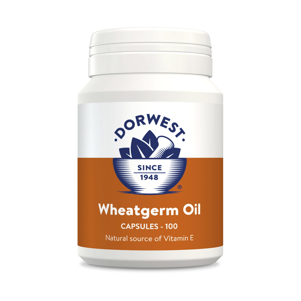 Dorwest Wheatgerm Oil Capsules For Dogs And Cats 100 Capsule